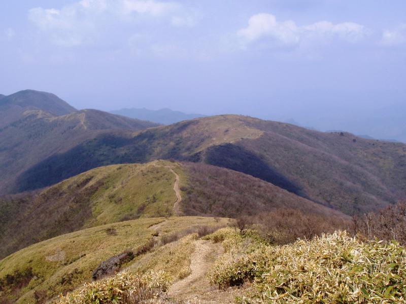 登山道風景 【那岐山】