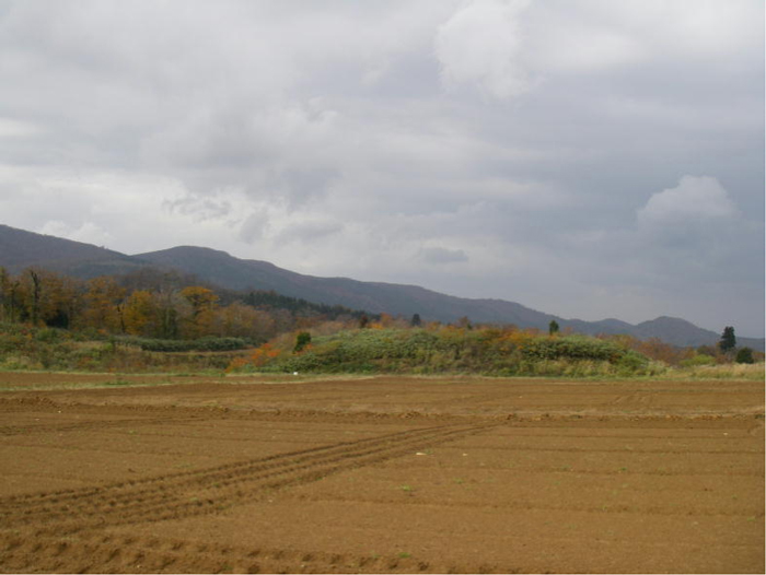 レク森全景