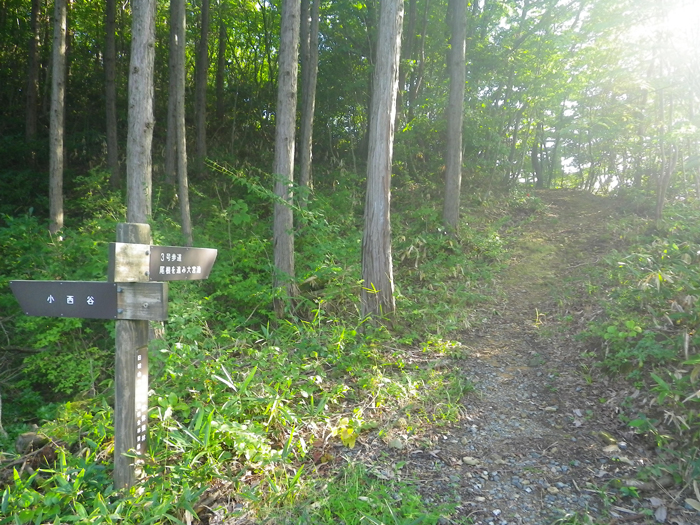 遊歩道①　【鳥取休養林】