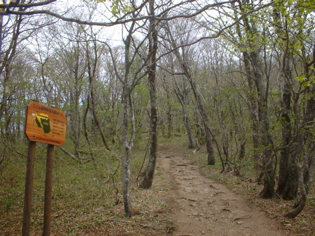 1.林内標識等【寂地】