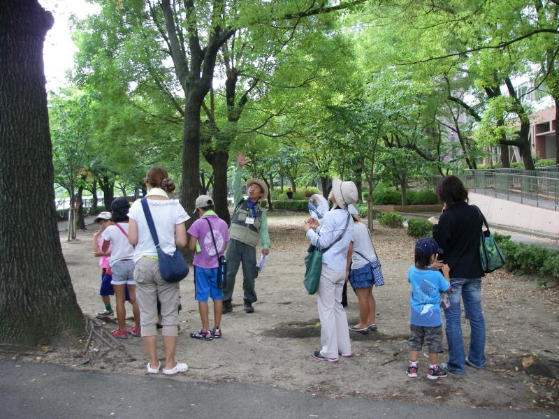 植物観察会