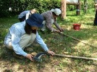 下刈り鎌の鎌研ぎ