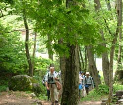 森林インストラクターとともに林間を行く参加者