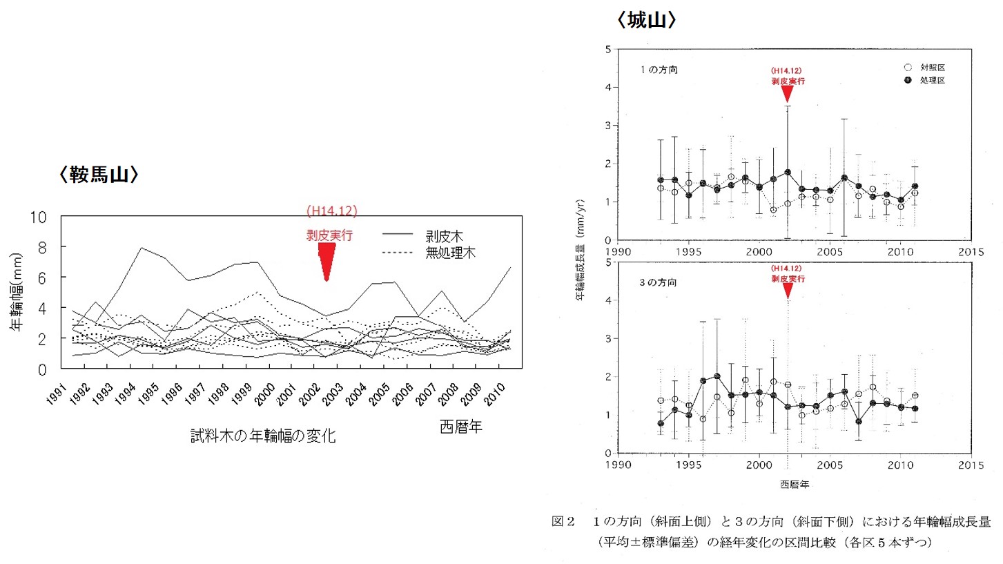 成長錐調査