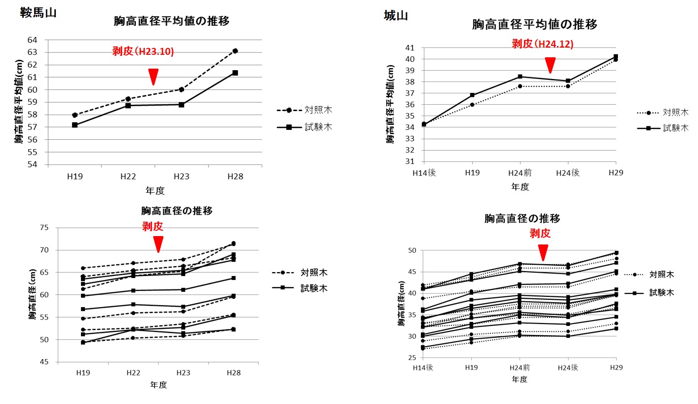 成長錐調査結果