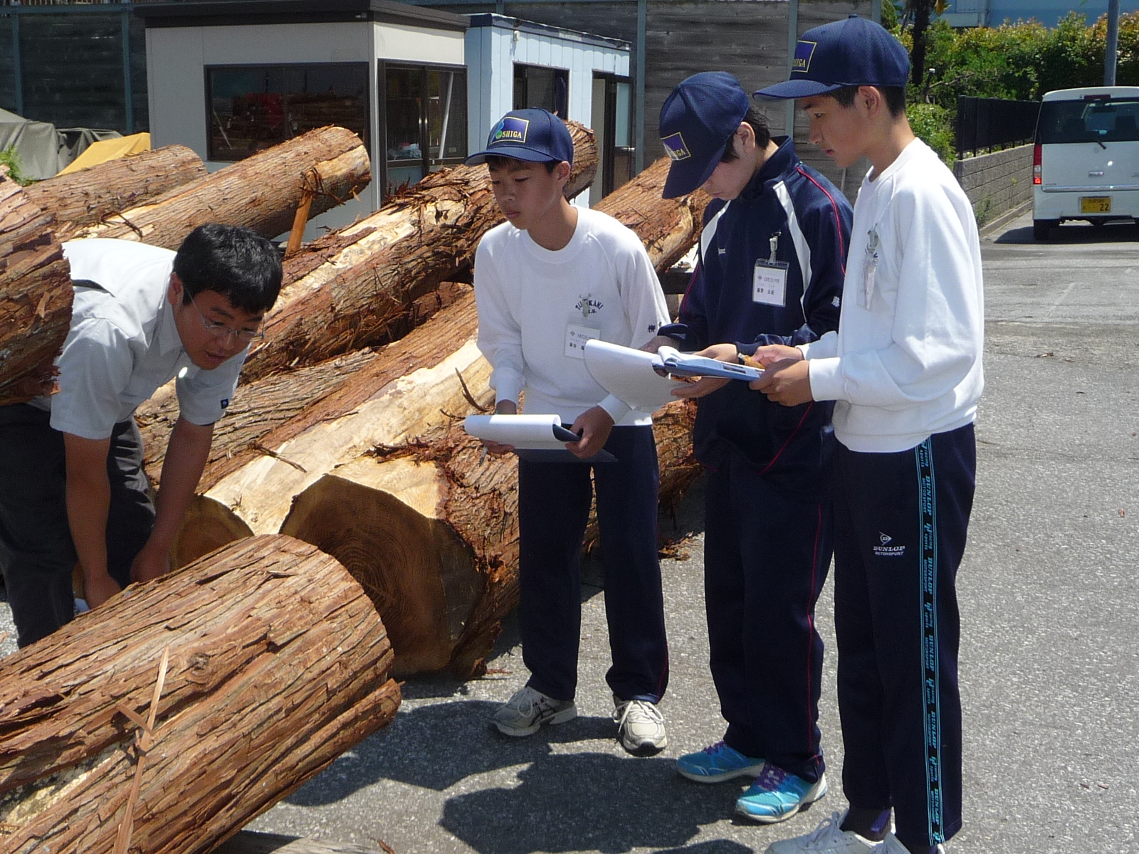 木材市場の見学