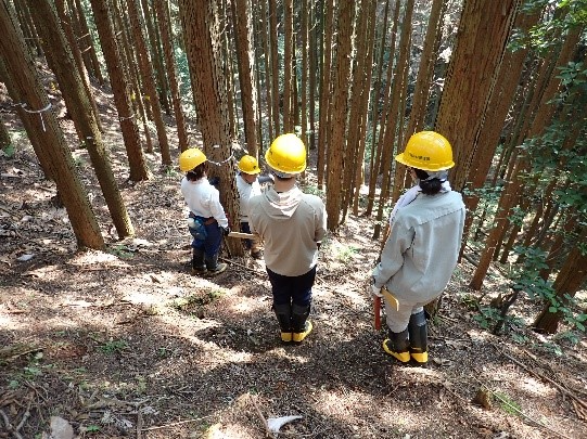 林内での収穫調査体験