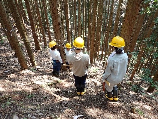 林内での収穫調査体験