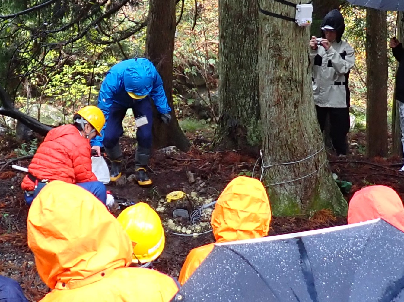 クマ対策くくりわなの設置デモ