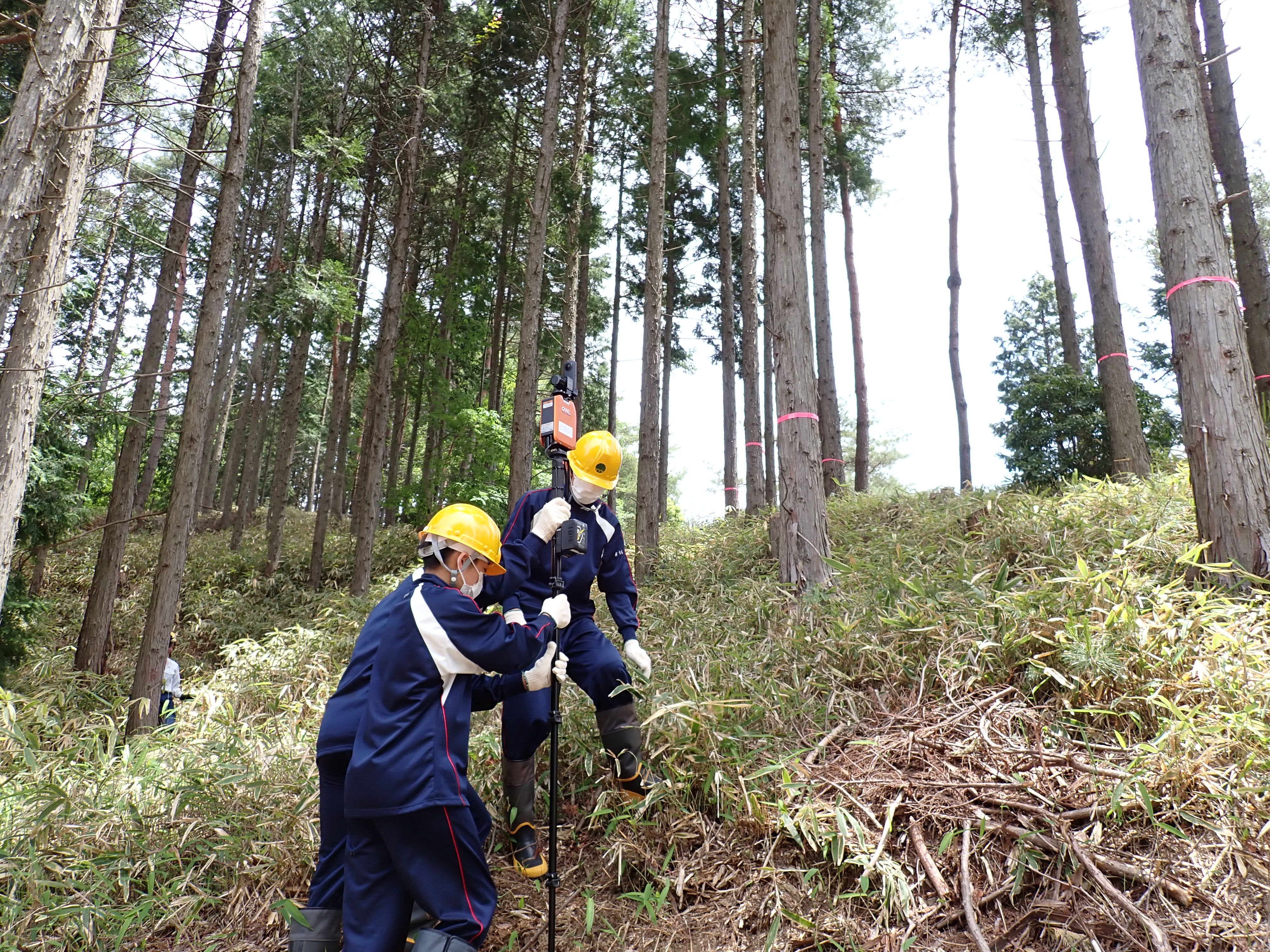 地上型レーザスキャナを用いた収穫調査