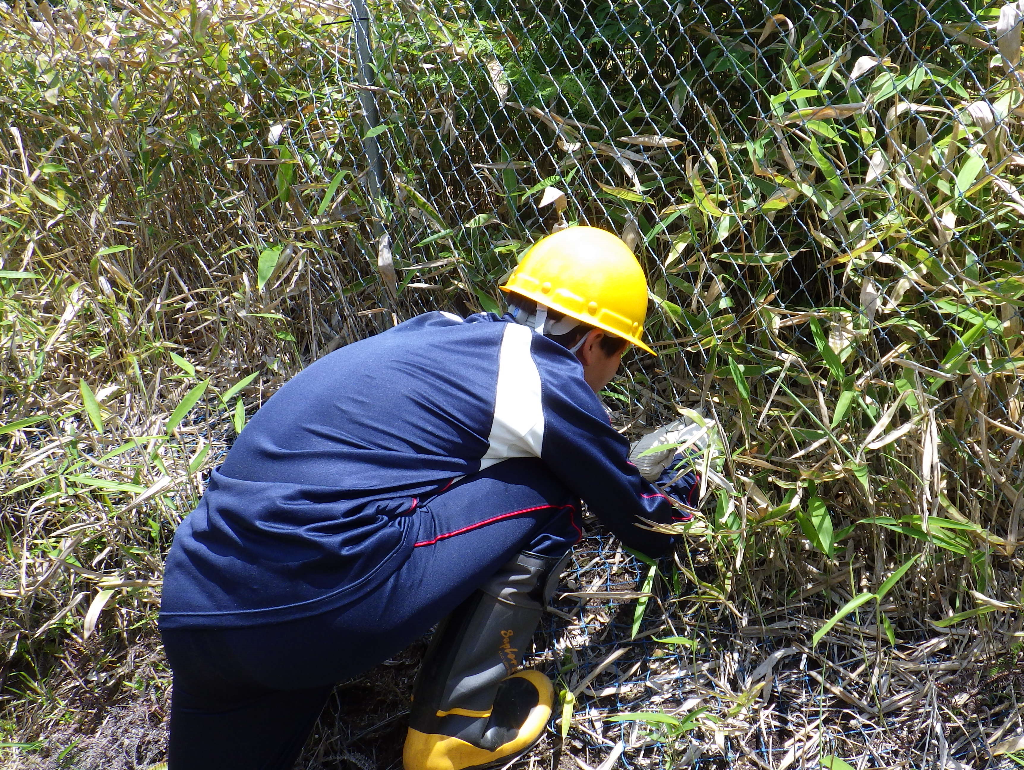 防護柵の点検