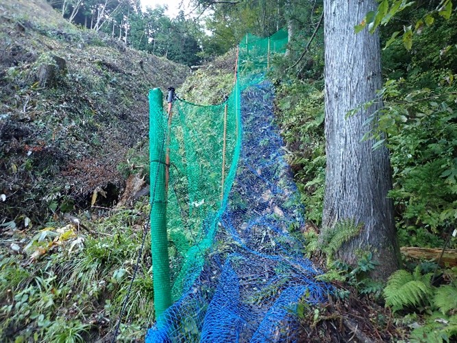 船通山国有林（植栽地）