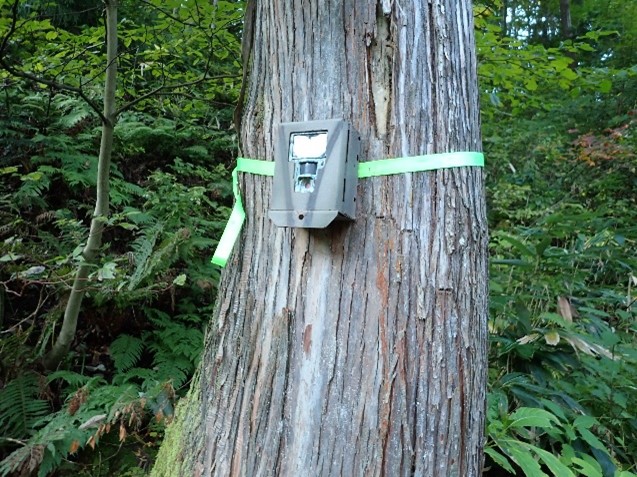 自動撮影カメラ（モニタリング）