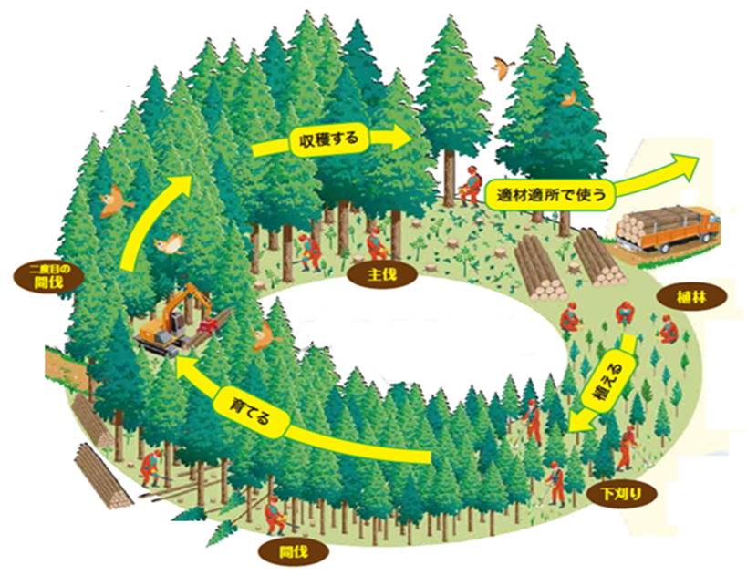 林業の役割サイクル