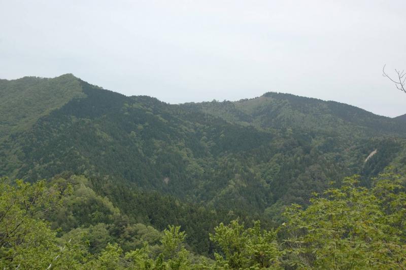 八川全景