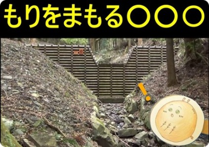もりをまもる○○○