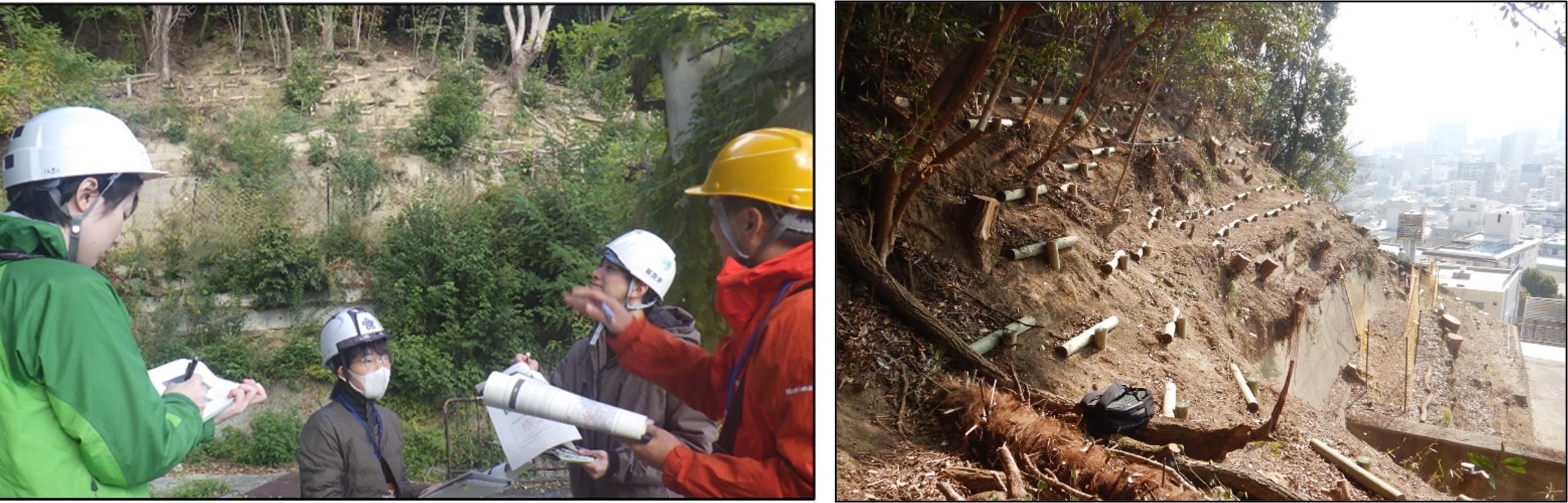 堂徳山国有林における現地視察