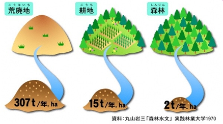 森林の機能