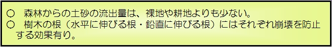 根の発達