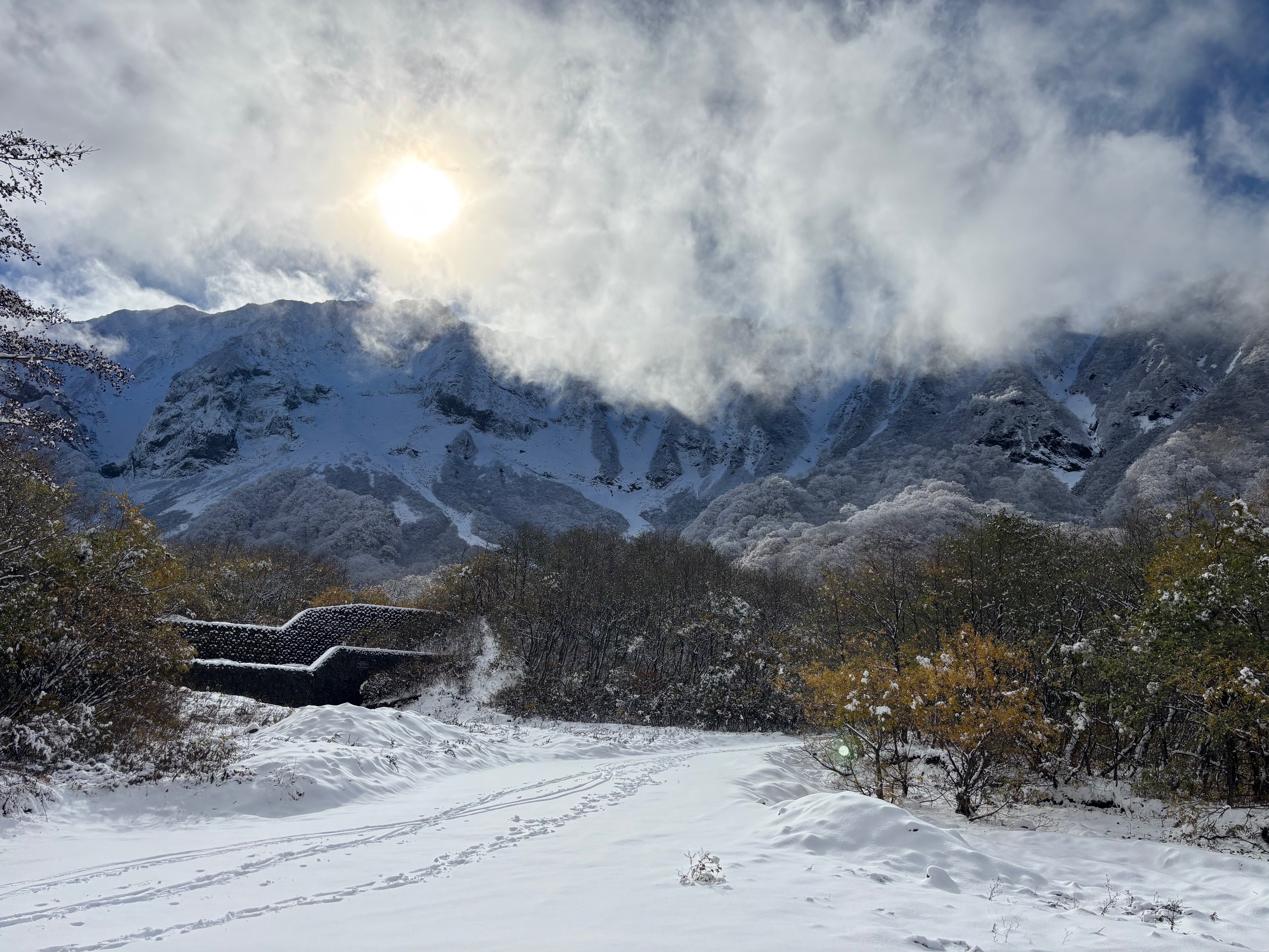 大山（元谷）行者谷