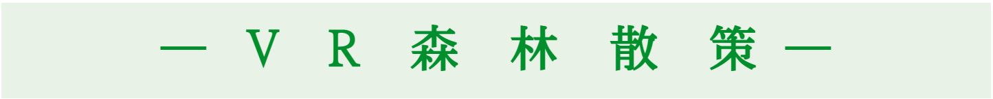 近畿中国森林管理局の森林散策