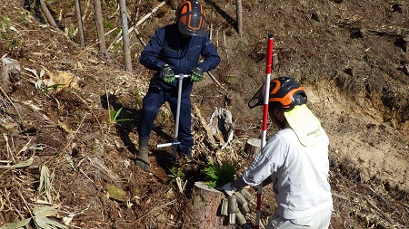 コンテナ苗の植栽体験