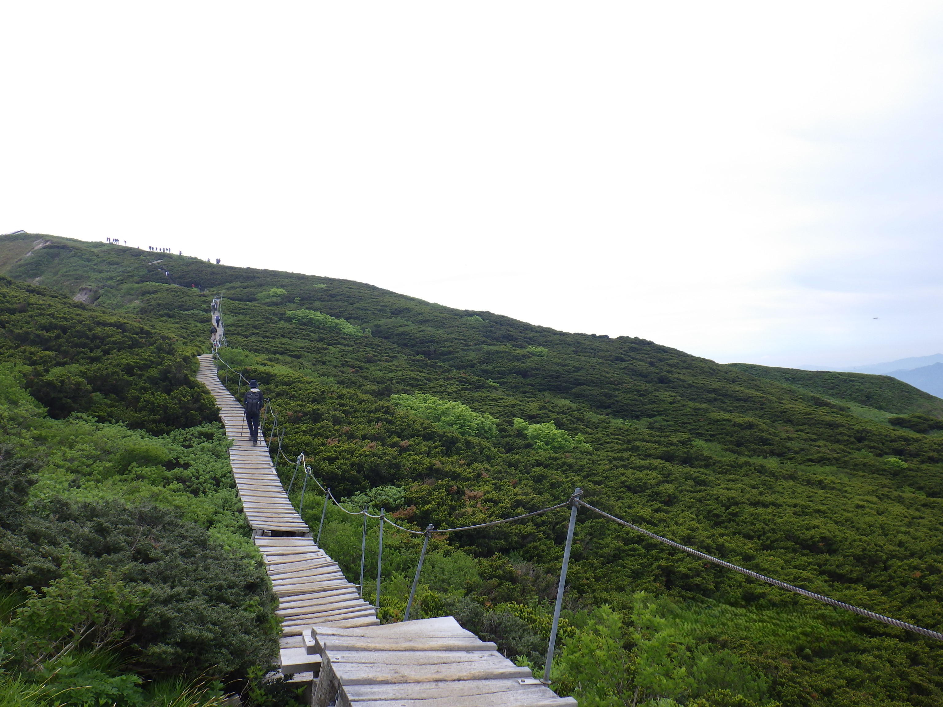 登山道