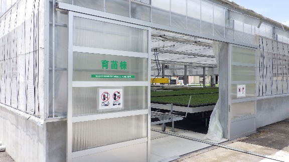 育苗棟