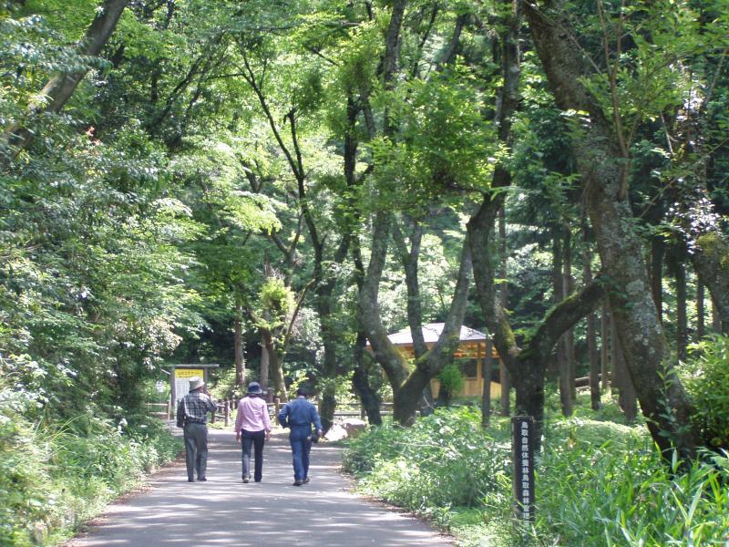 鳥取自然休養林H16