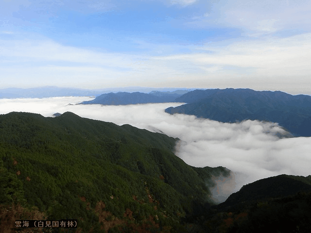 和歌山HP