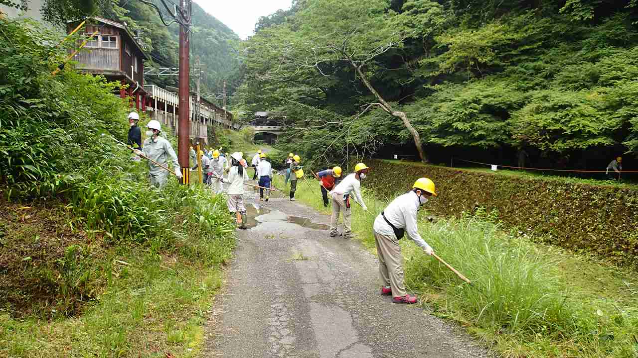 下草刈りの様子１