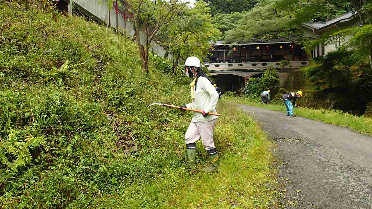 下草刈りの様子２