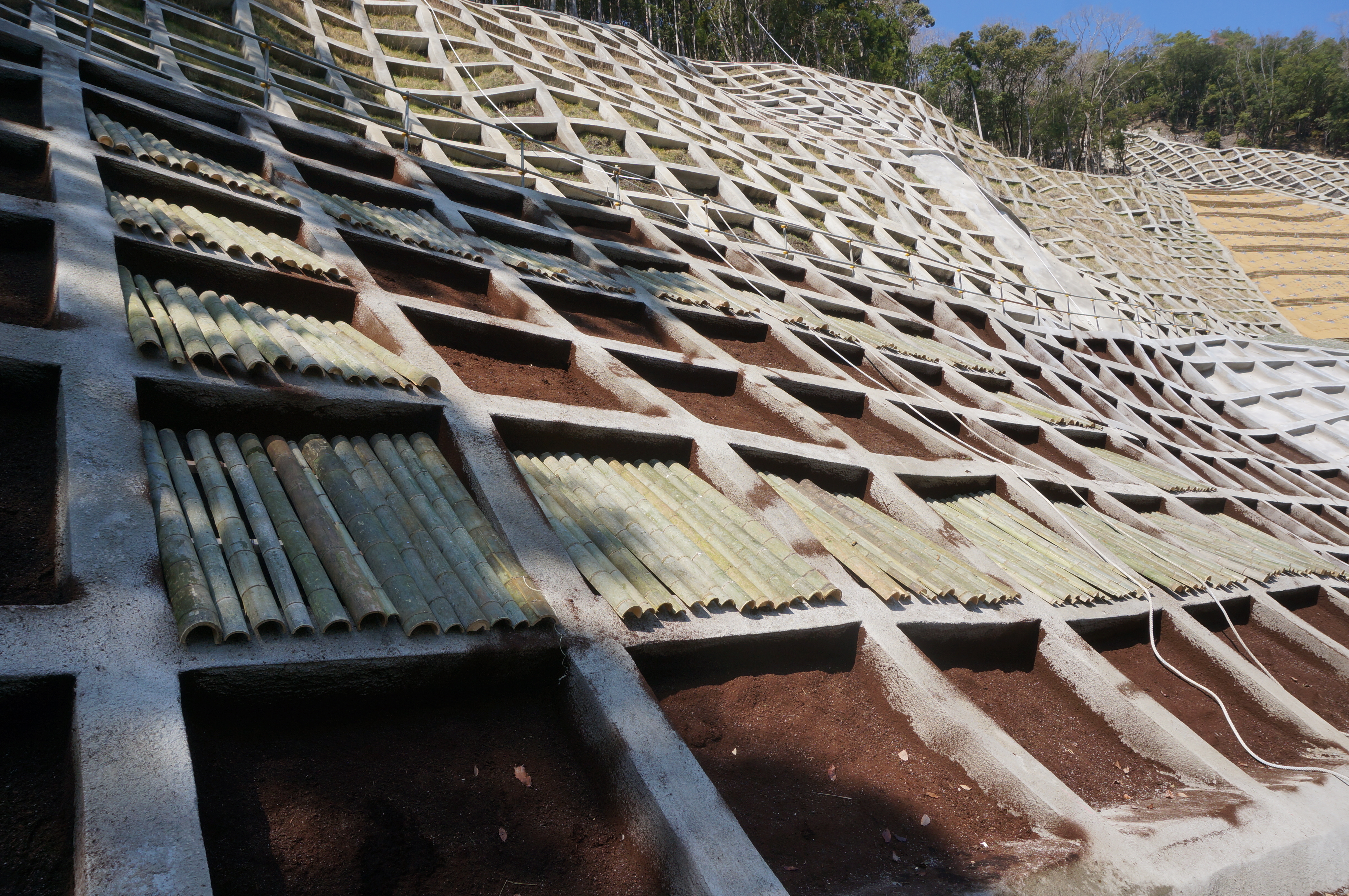 竹被覆工施工当時