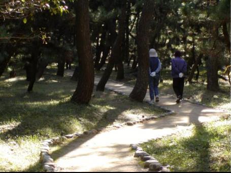 shinrinkukanriyou
