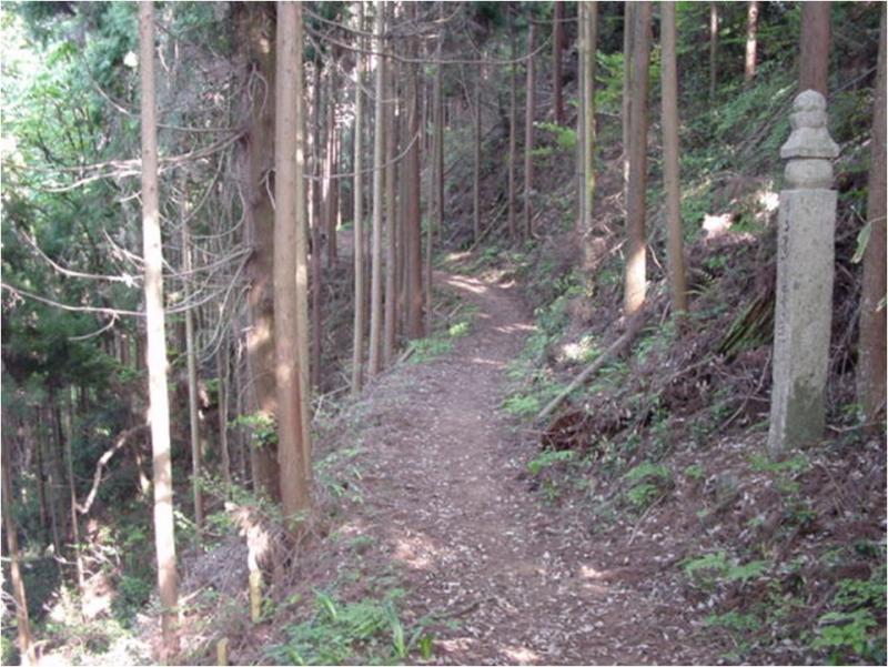 高野山貢献の森林