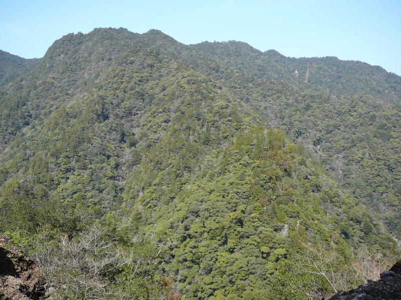 黒蔵谷森林生物遺伝資源保存林