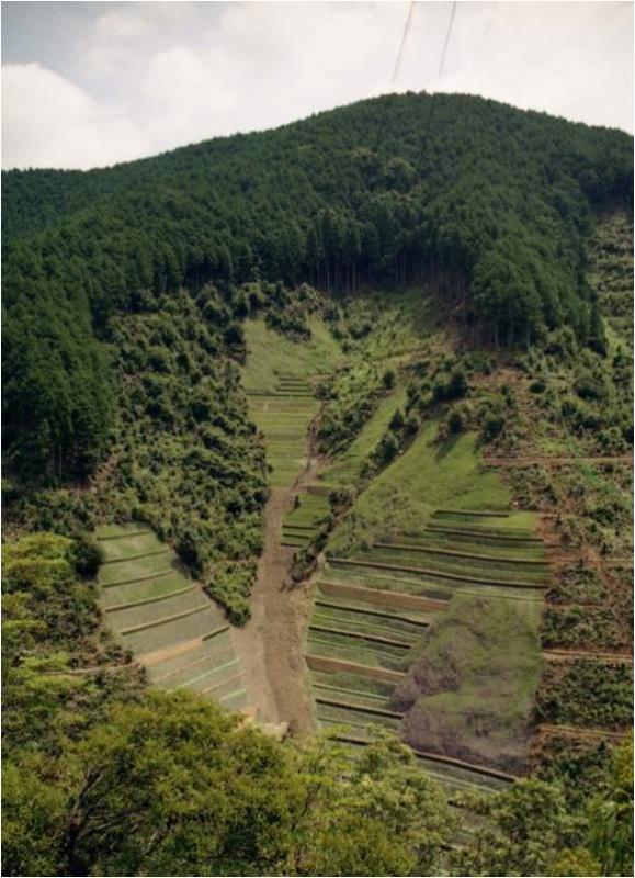 山腹工　復旧状況