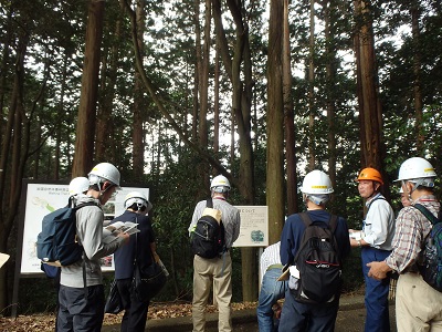 檜皮採取試験箇所の見学