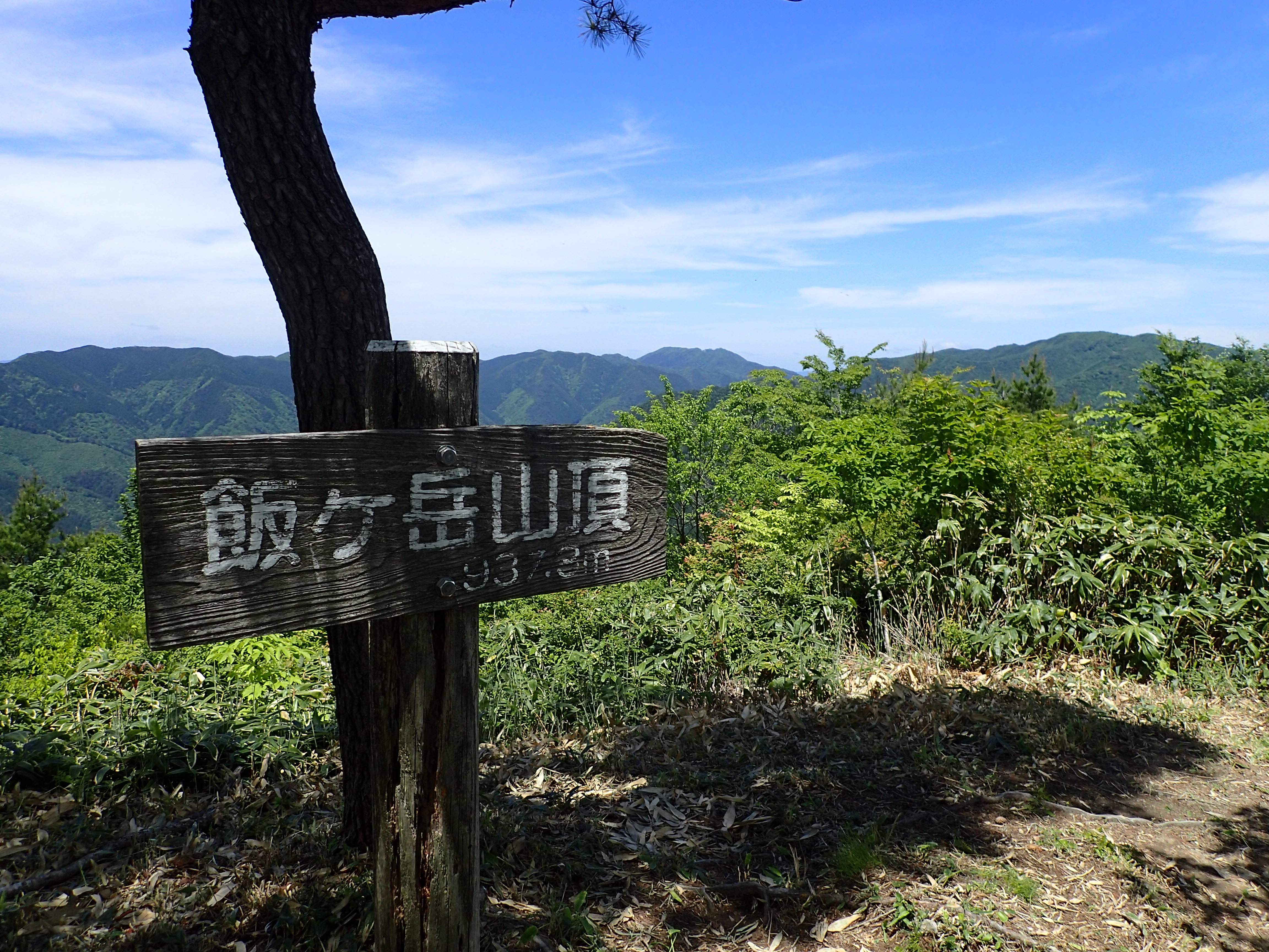 飯ヶ岳山頂