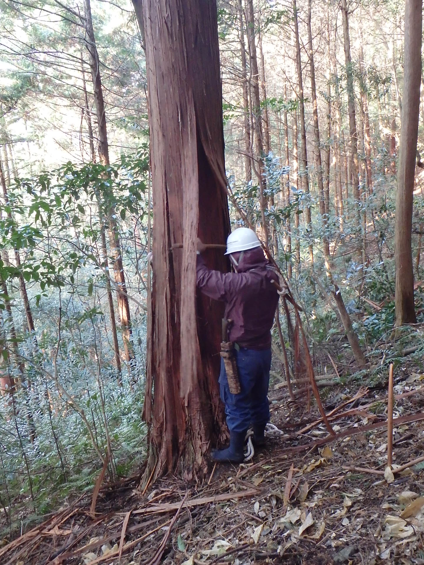 1段目の足掛けをつくる