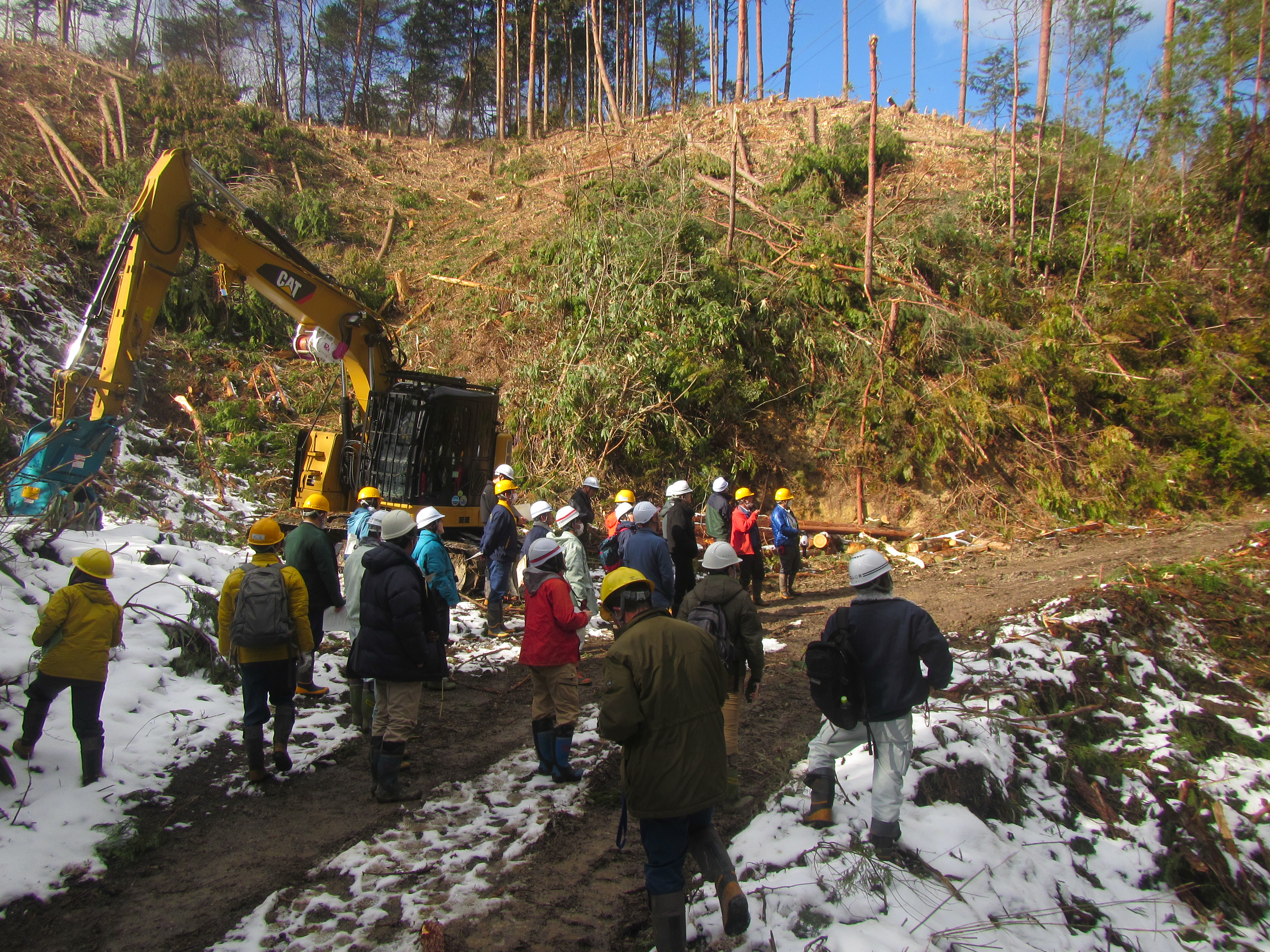 架線集材　説明の様子