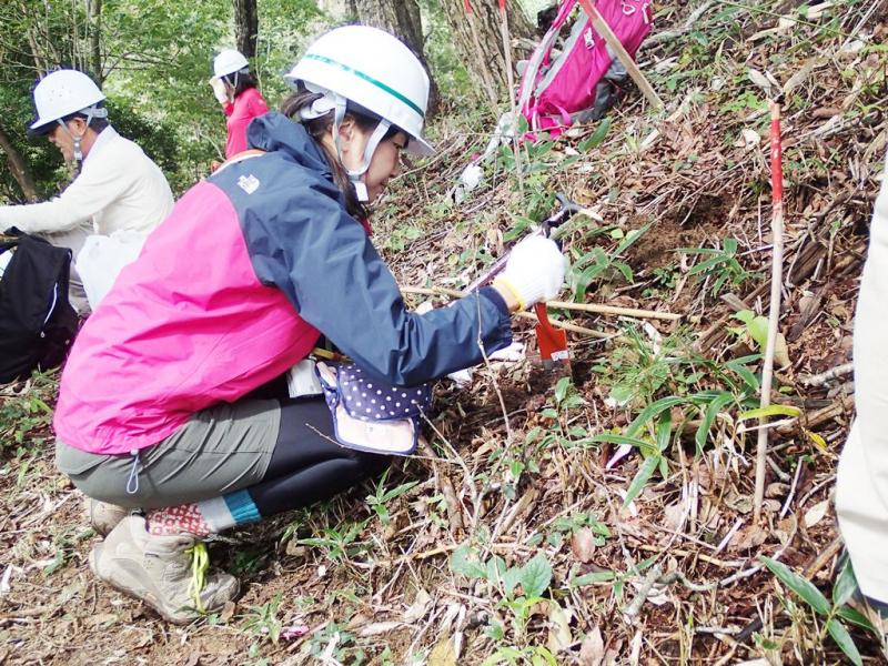 参加者による稚樹植栽の様子