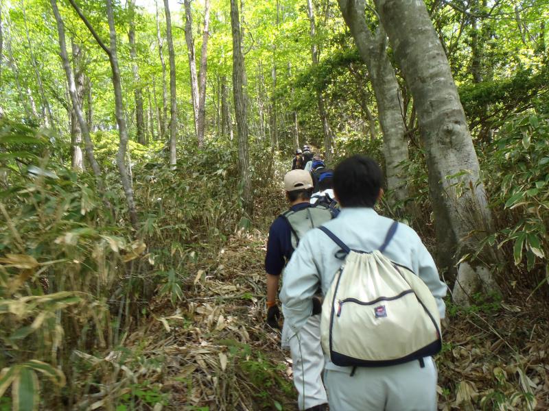 滑山林業就業支援講習山頂目指す