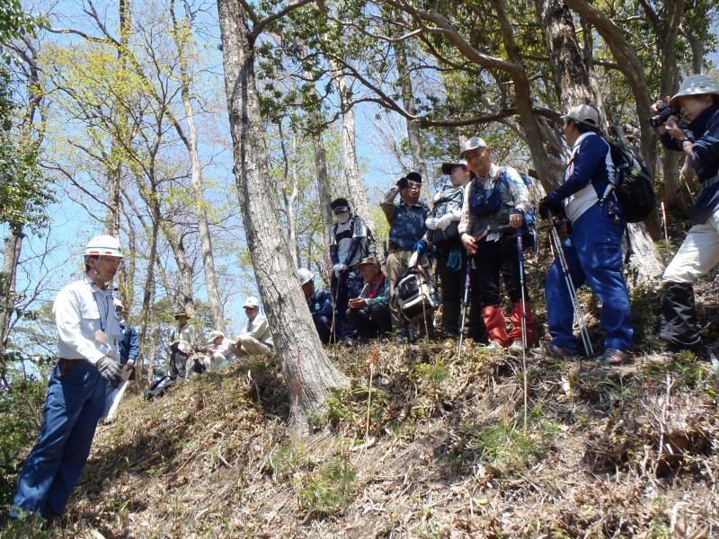 笹の刈払い実施箇所の説明