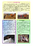 防災情報の発信