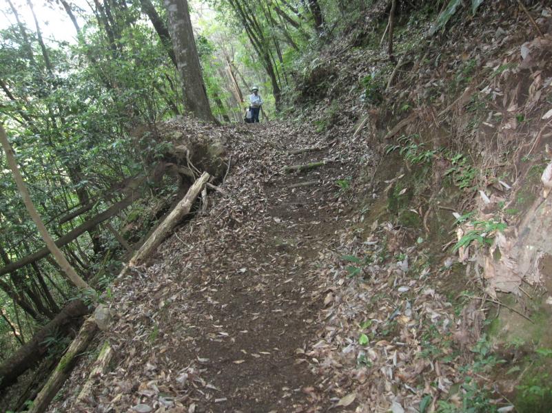 散策路の整備状況