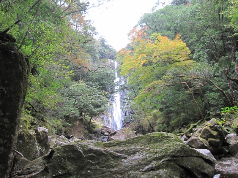 矢研の滝