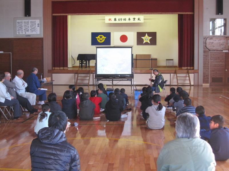 シカと森林