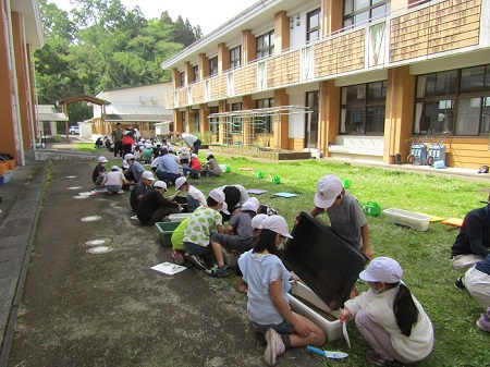 05取組＿小学校2＿班毎に仲良く蒔きつけ