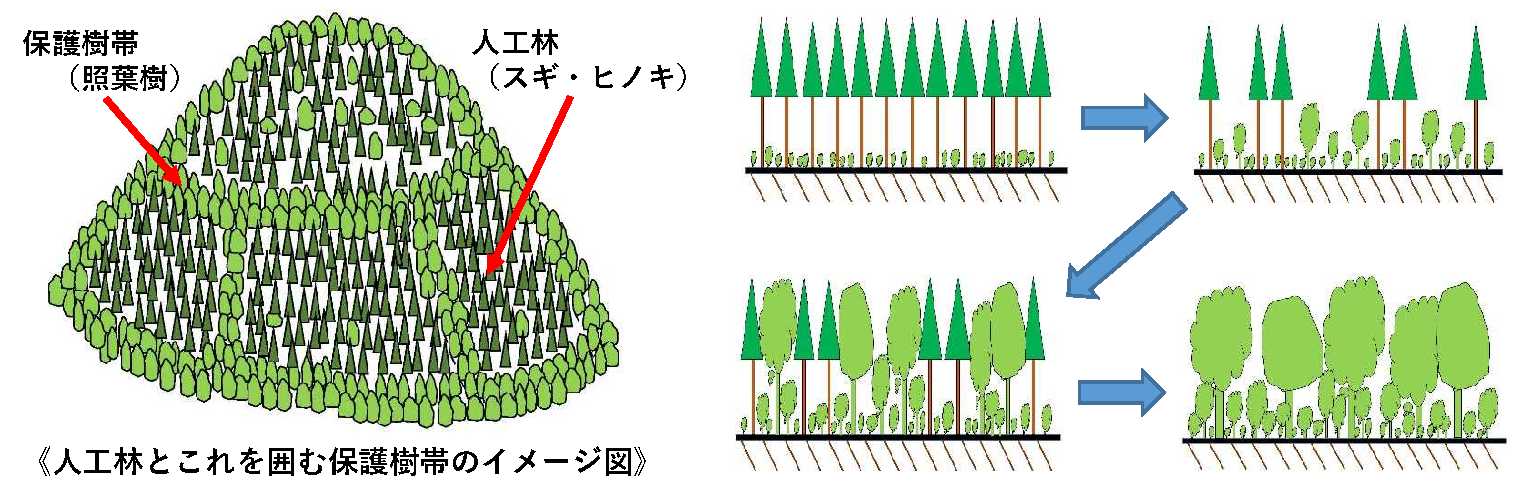 復元イメージ図